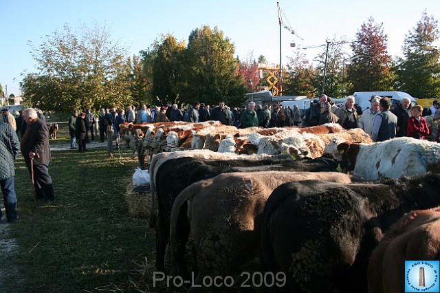 In prà della Antica Fiera di Arsego (17).JPG